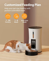 Comederos y Bebederos  automáticos para gatos cronometrados