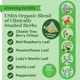 Té de fertilidad para la concepción y el equilibrio hormonal