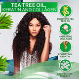 Champú de aceite de árbol de té sin sulfatos ni parabenos