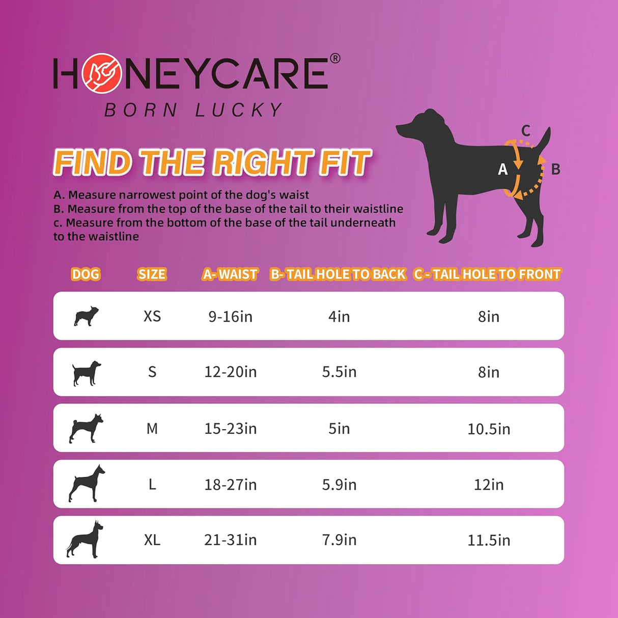 HONEY CARE All-Absorb - Pañales para perro  transpirable