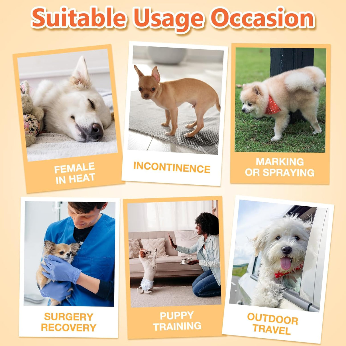 Pet Soft, pañales desechables para mascotas, perros, cachorros, 12 unidades, 72 pañales, XXS--XL, XXS