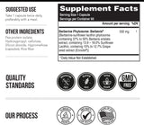 Berberina Fitosoma 550 mg: Absorción 9.6x, 60 Dosis