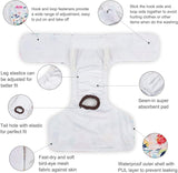 CuteBone - Pañales para perras  talla M, D14M