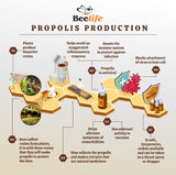 Suplementos Alimenticios Extracto de propóleosextracto seco