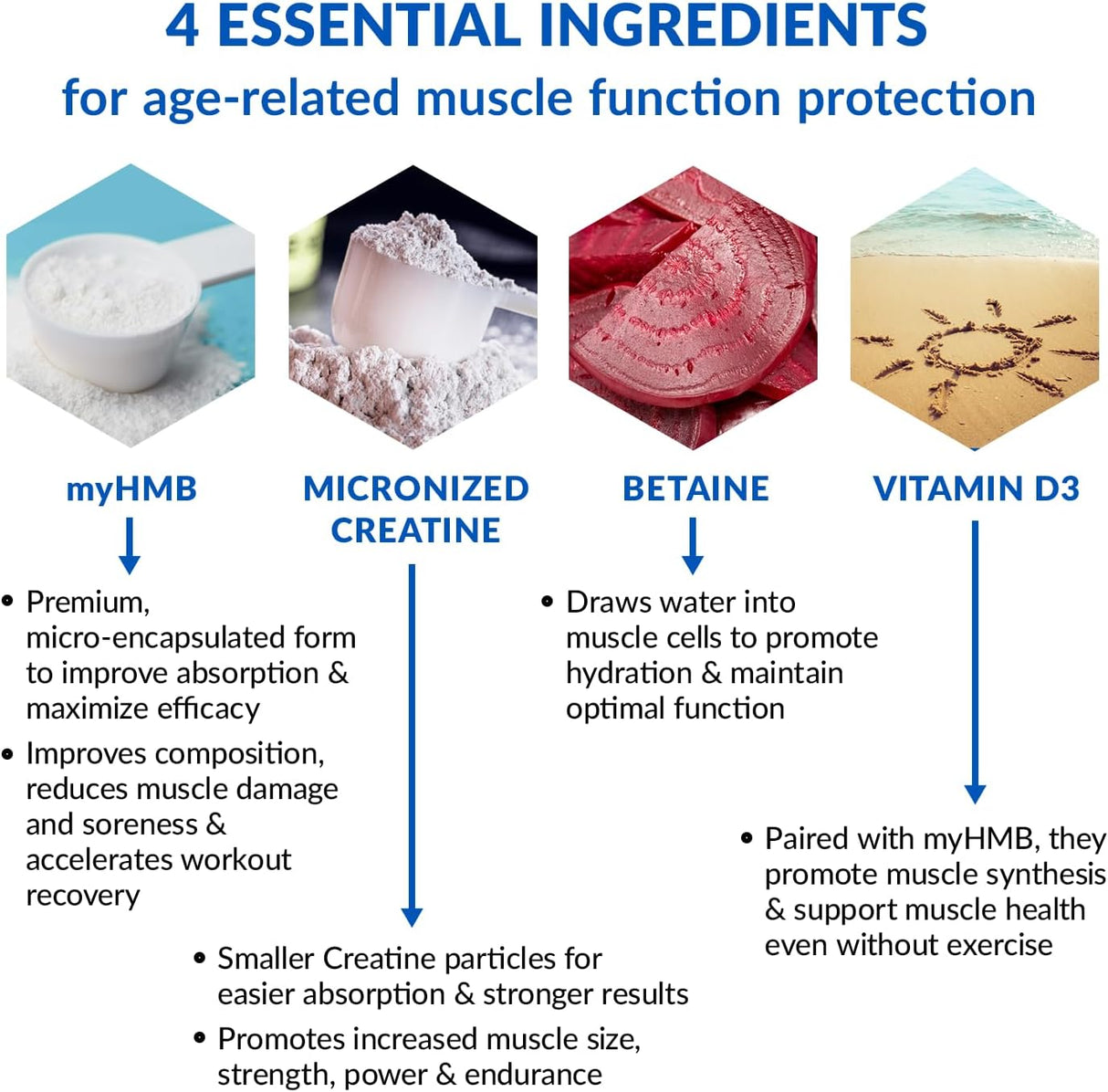 Polvo de monohidrato de creatina micronizada con HMB