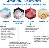 Polvo de monohidrato de creatina micronizada con HMB
