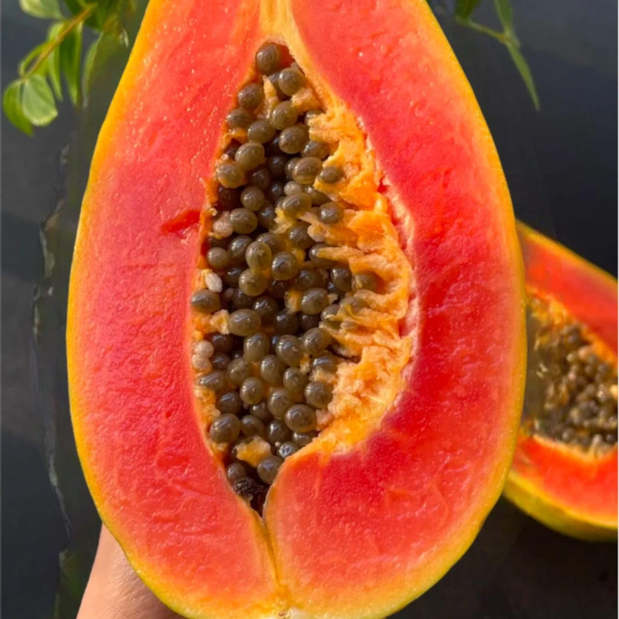 Semillas de Papaya Creamy NiRwa - Dulces y Nutritivas 50pcs