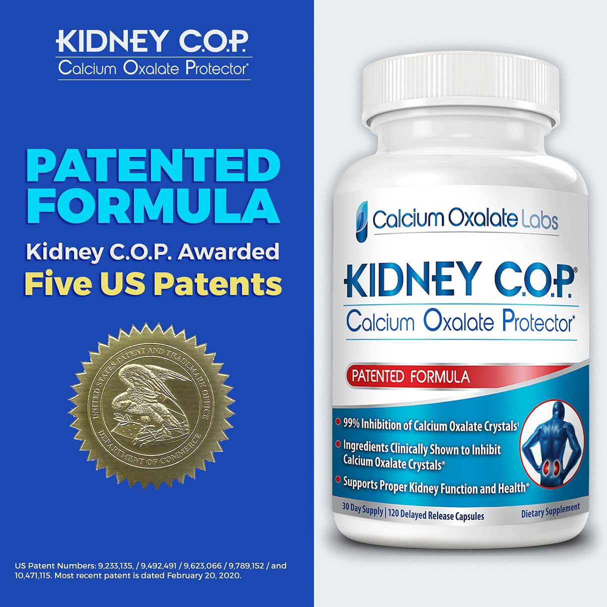 Suplementos Alimenticios soporte renal