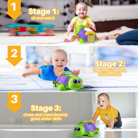 Juguete Musical para Bebés, Desarrollo, Bilingüe, Modelo Tortuga