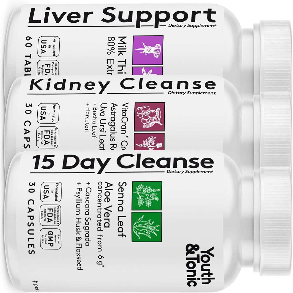 Desintoxicación y limpieza corporal apoyo hepático y renal