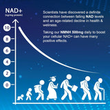 NMNH 500mg Suplemento NAD+ Antienvejecimiento y Energía