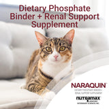 Carpeta dietética de fosfato + suplemento de apoyo renal