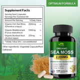 Cap. de Moringa Orgánica con Bladderwrack, B. Raíz y P. Negra, 2000mg