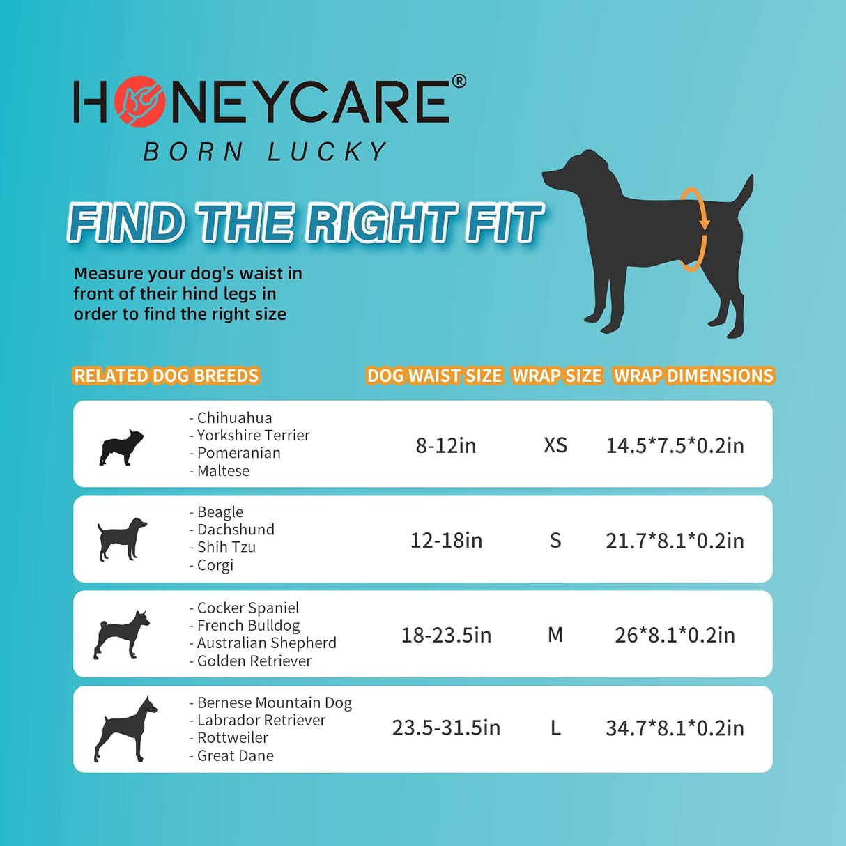 HONEY CARE All Absorb Petrichor - Envoltura para perro macho, mediano, blanco, 100 unidades
