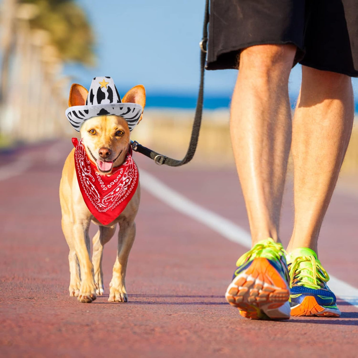 Disfraces bufanda y sombrero para mascota talla única