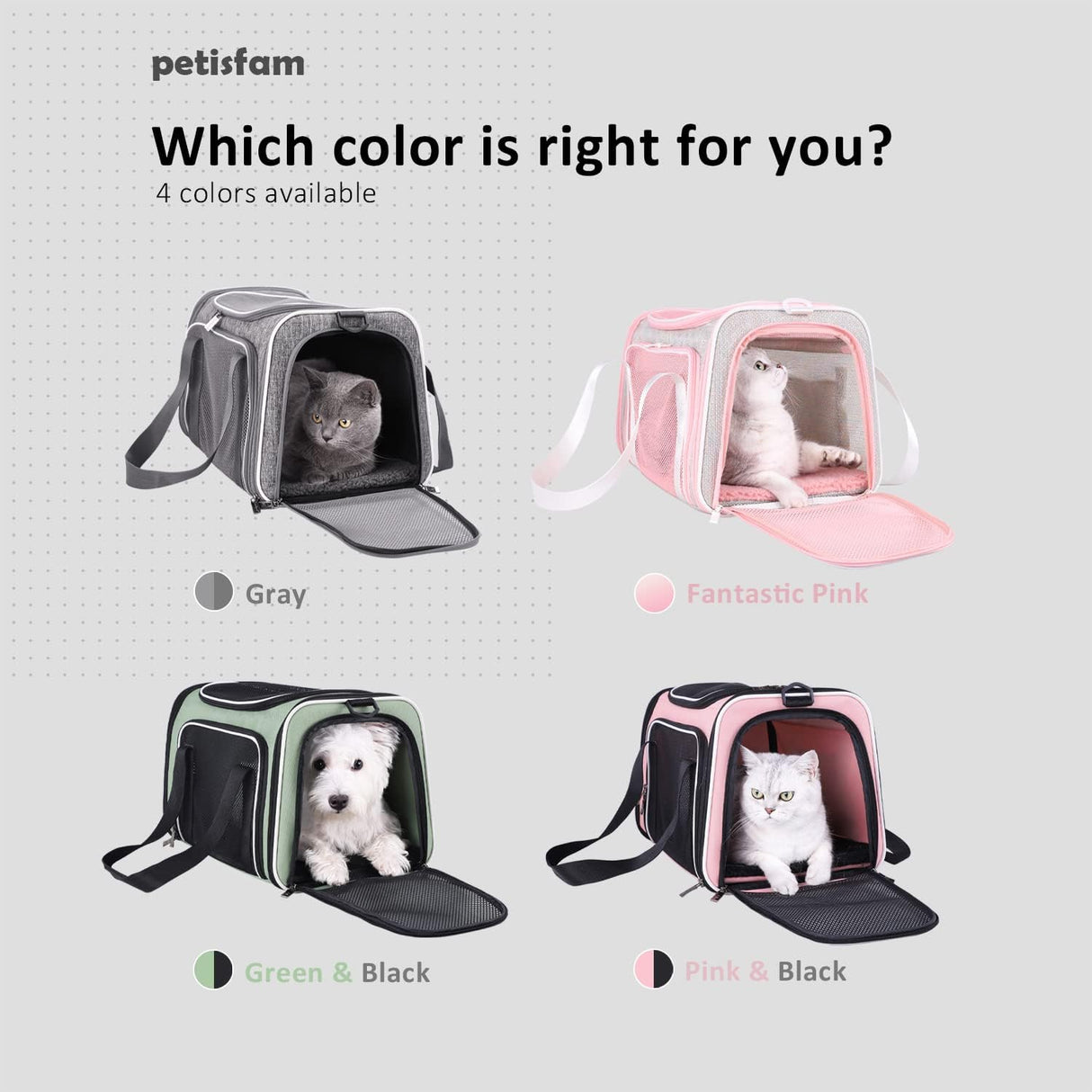 Transportadora para gatos y perros pequeños, petisfam, aprobada.