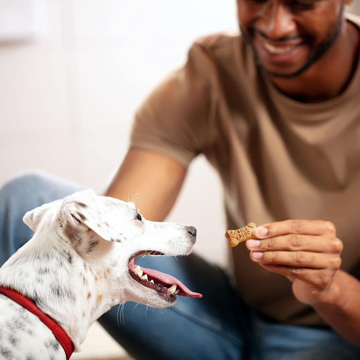 Aperitivos de sabores para perros de la marca Milk-Bone