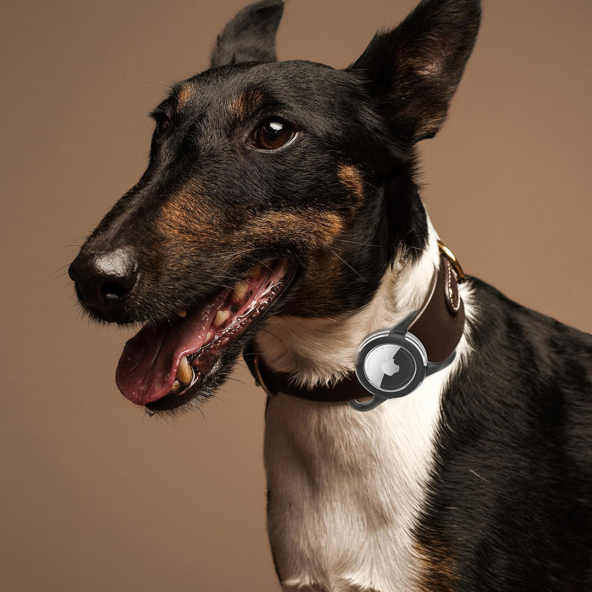 Soporte Airtag Impermeable para Collares de Perro, Ultra-Durable