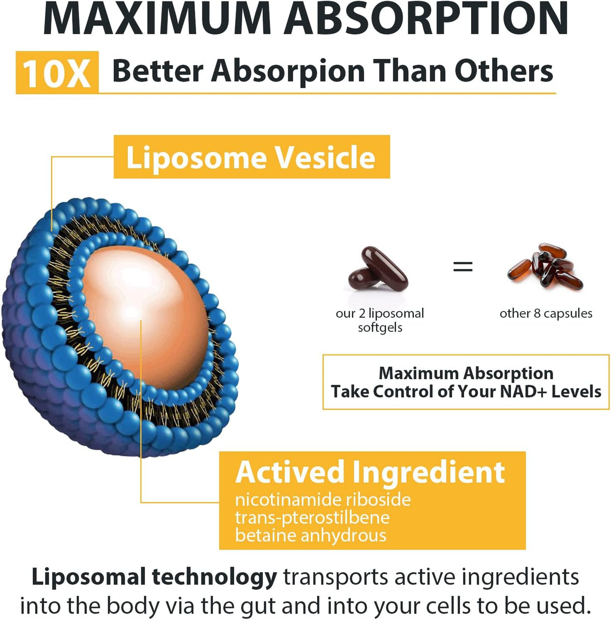 Suplemento Riboside liposomal  apoyo al envejecimiento