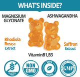 Suplemento Ashwagandha B1 B3 Rhodiola Rosea de magnesio 120u