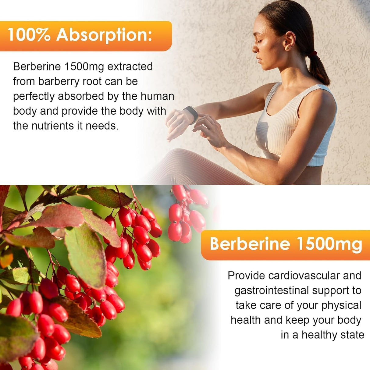 Suplemento de Berberina Líquido 1500mg con Canela y Melón Amargo