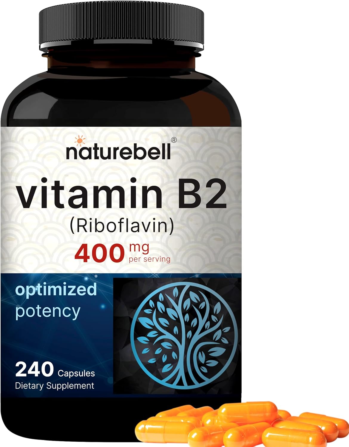 Suplemento Vitamina B2 Riboflavina 400 mg por  240 cápsulas