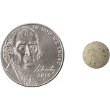 Suplementos Alimenticios Cognium píldoras