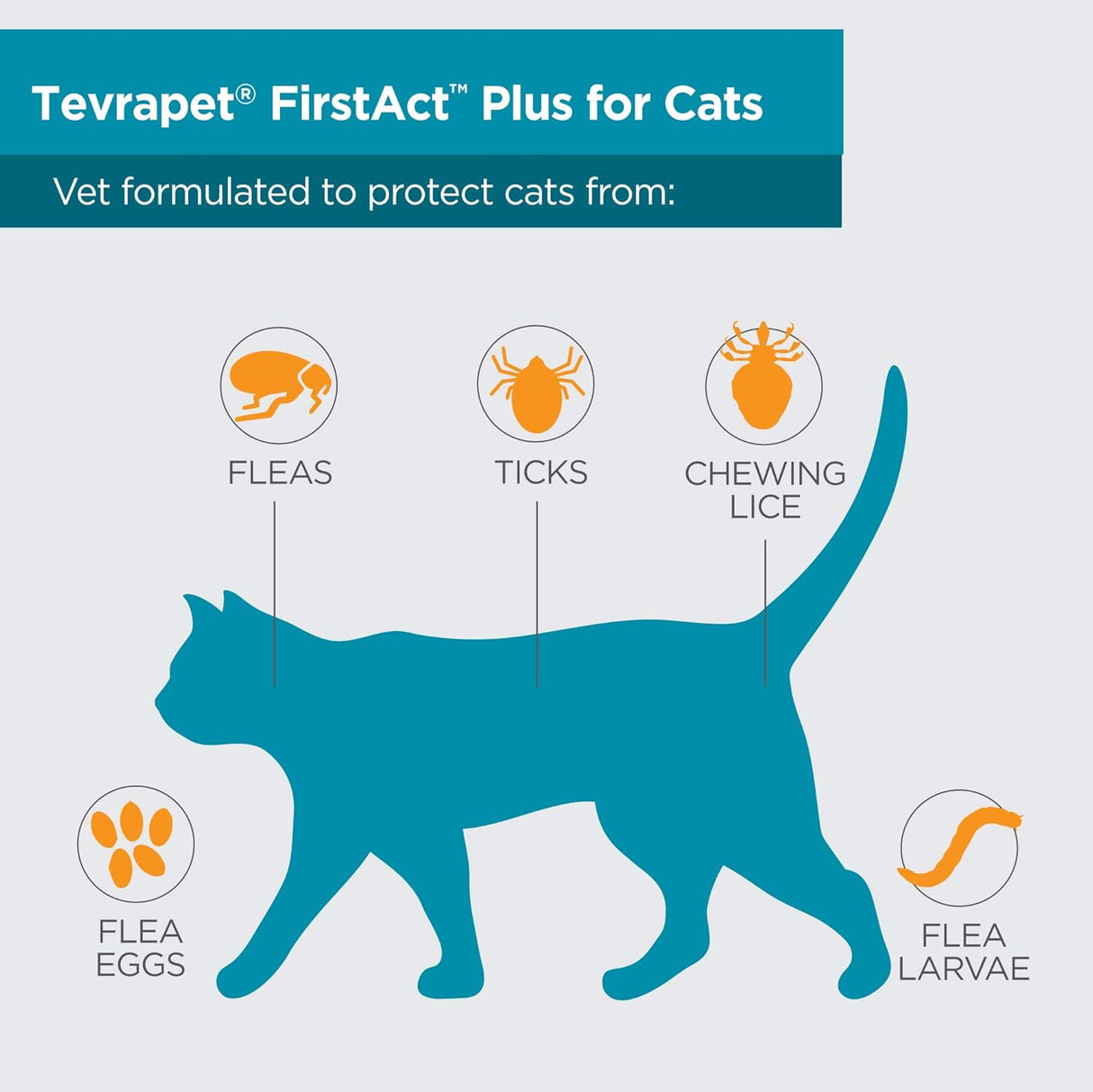 Tratamiento Antipulgas  gotas tópicas para gatos