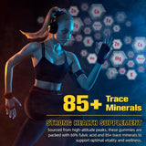 Gomitas de Shilajit Himalaya, Natural, Energía y Inmunidad, 60