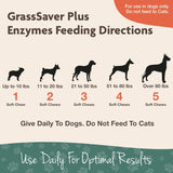 Vitaminas para perros Suplemento saludable para ayudar