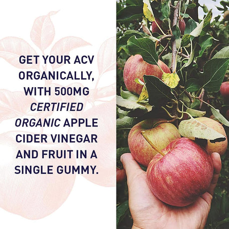 Suplementos de vinagre de sidra de manzana Vitaminas