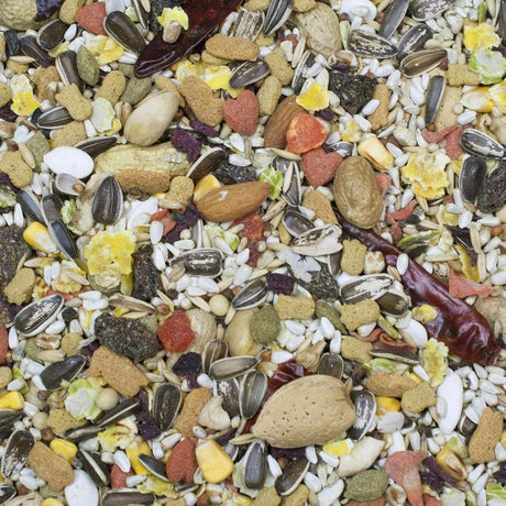 Comida para loros 3 libras paquete de 2 Higgins Sunburst