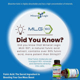 Power By Naturals Sea Moss Cápsulas Orgánicas con Aceite de Semilla Negra y Elderberry