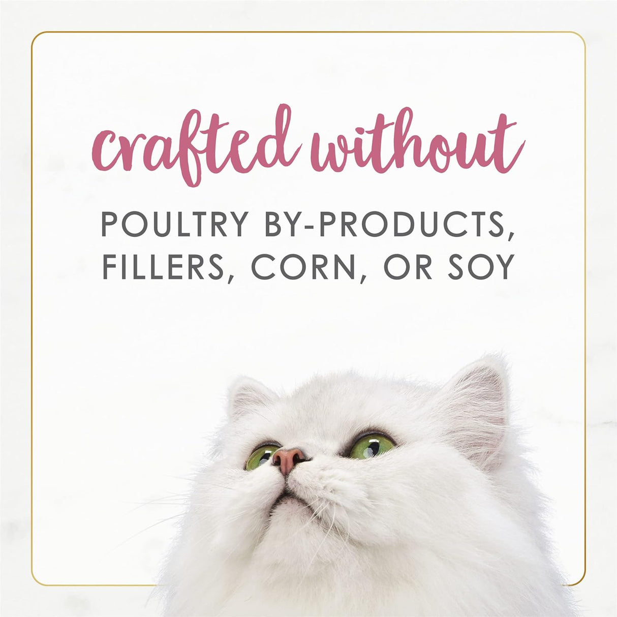 Purina Fancy Feast Paté. - Comida húmeda enlatada para gatos adultos
