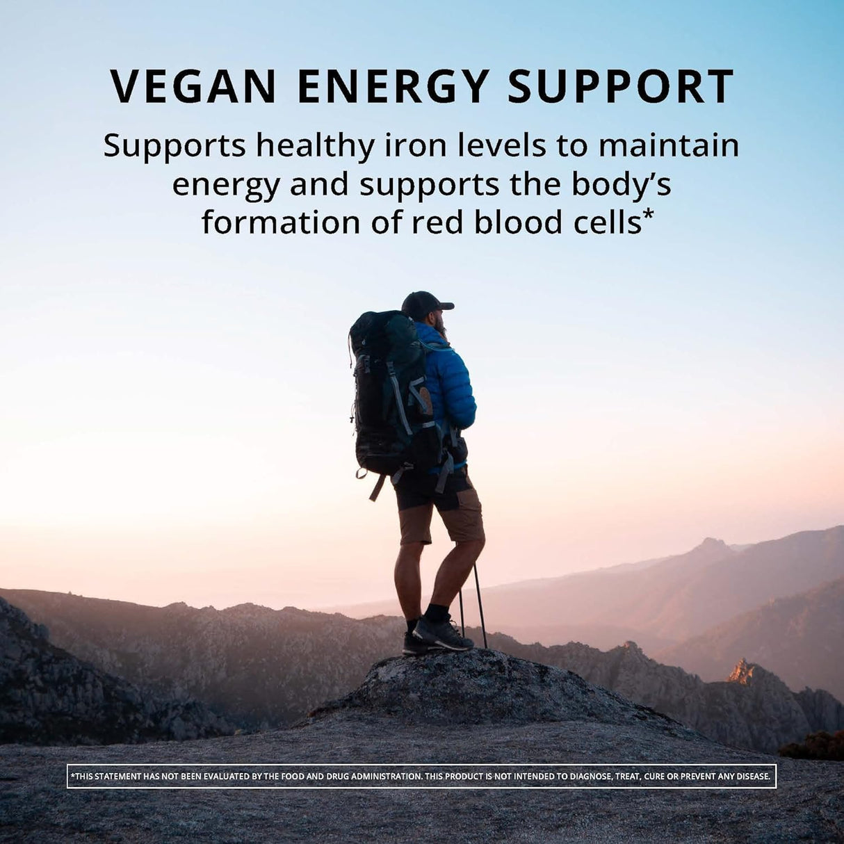Suplemento loradix Floravital Iron & Herbs líquido vegano