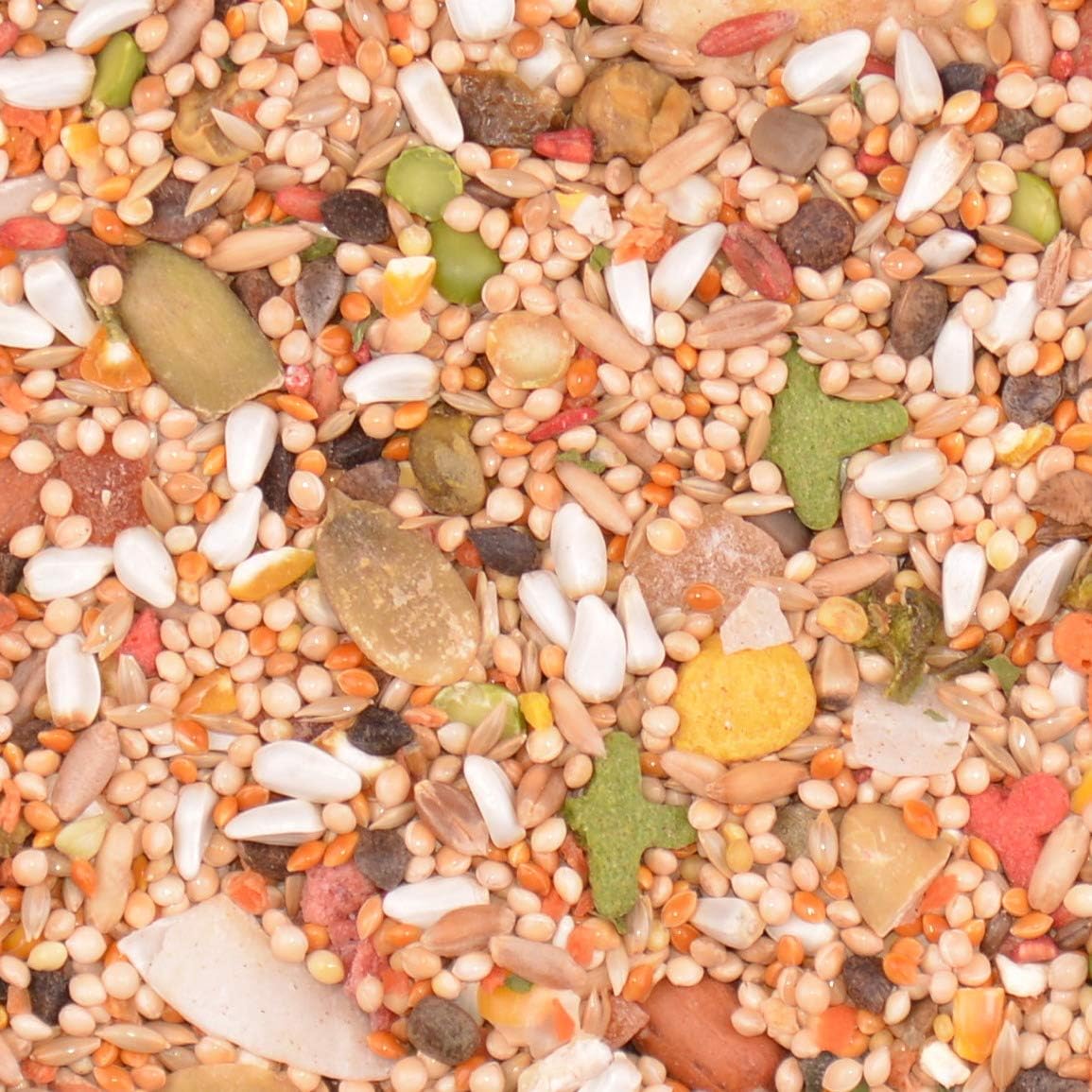 Volkman Featherglow  Comida para pájaros con pico de gancho