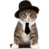 Disfraces de Pajarita ajustable para mascotas talla única