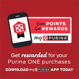 Purina ONE Comida Seca para Perros, Estómago Sensible, 31.1 lb.