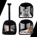Transportadora para Gatos, Aprobada por Aerolíneas, Mediana
