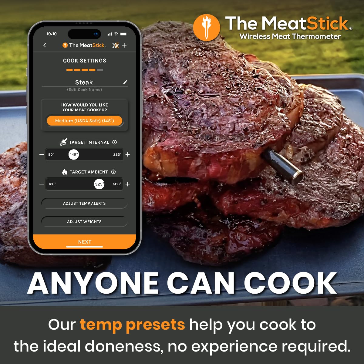 Termómetro de carne MeatStick Chef X | 2 sondas, Bluetooth, 650ft