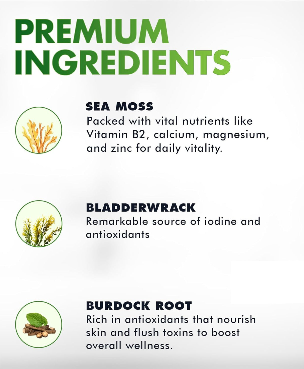 Bio Vitalica Gummies de Musgo Marino, Orgánico, Inmunidad (1)