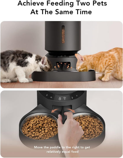 Dispensador de alimentos automático de gato PLAF103 PETLIBRO