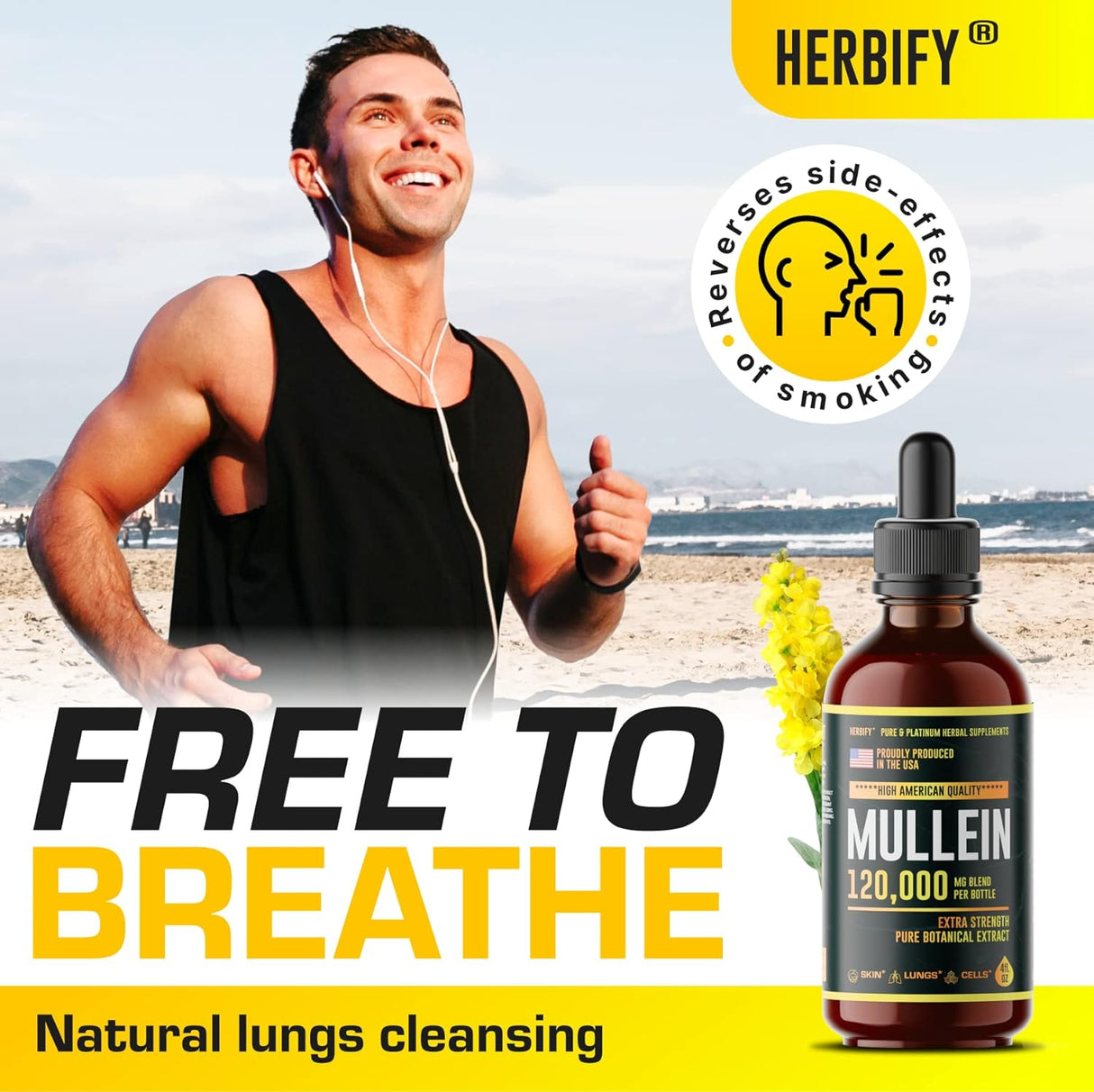 Suplemento Limpieza pulmonar Extracto de hoja Potente