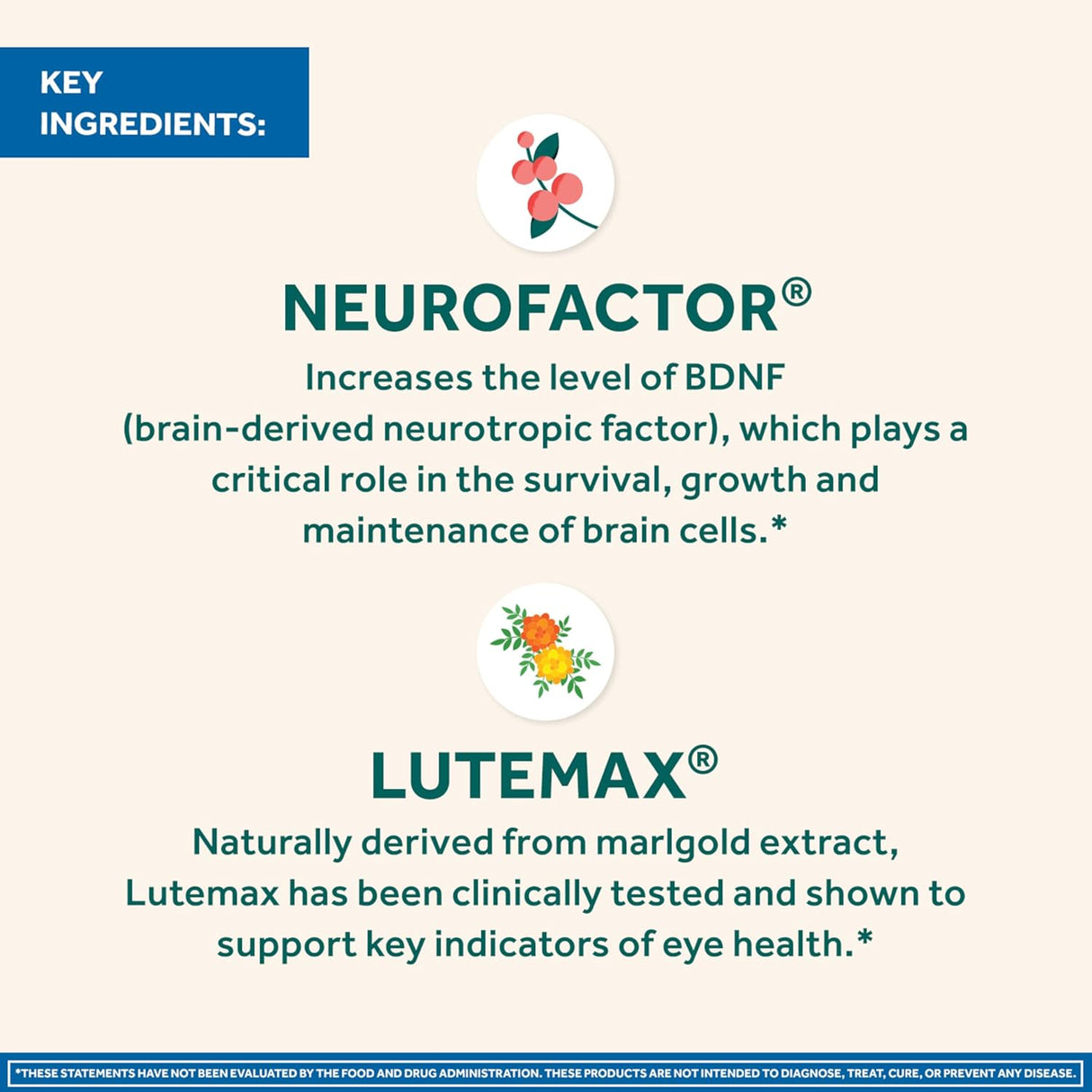 Suplemento cerebral + ocular para memoria con luteína 30 cap