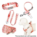 Correa para perro de  5 '* 5/8 , Color: Rosa bebé