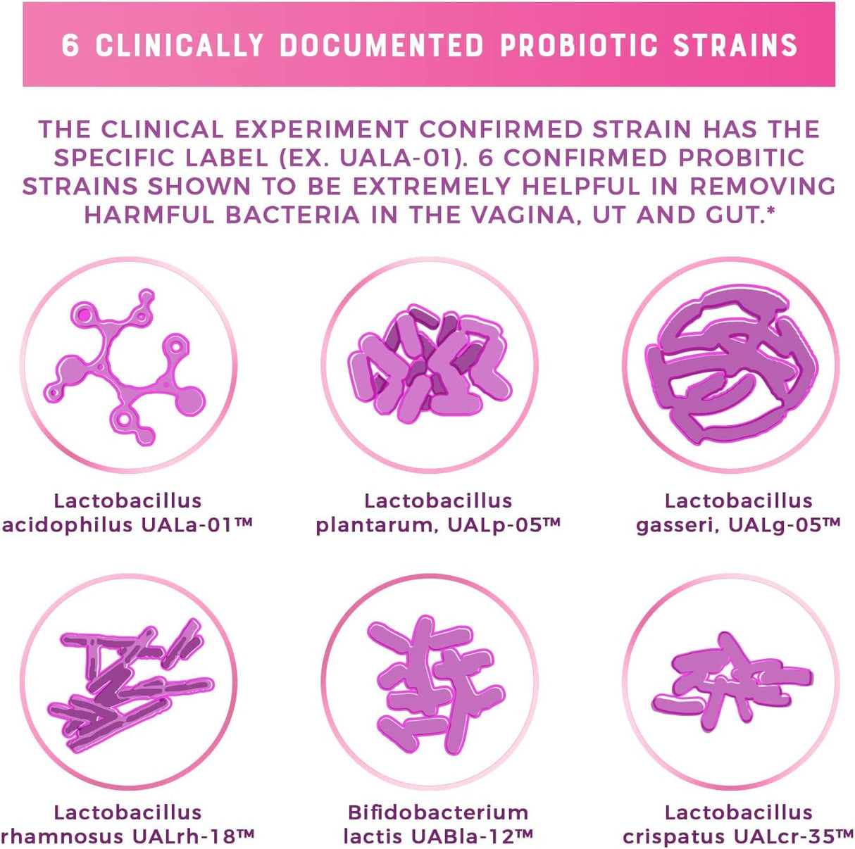 Suplementos Pro Probióticos  Apoya la salud vaginal 6 cepas