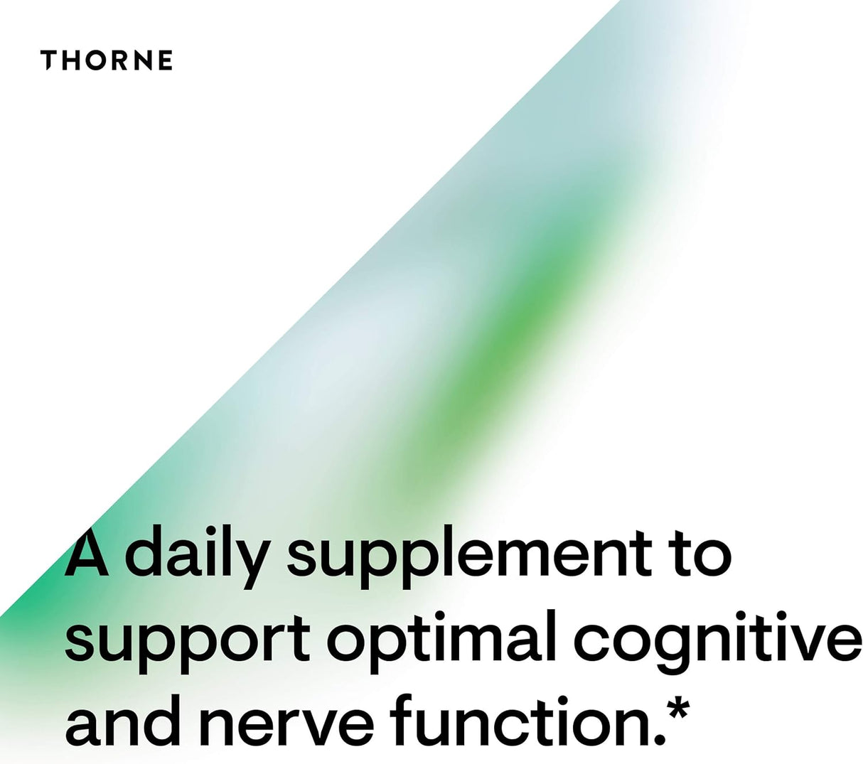 Suplementos Acetyl-L-Carnitina - 500 mg   función cerebral