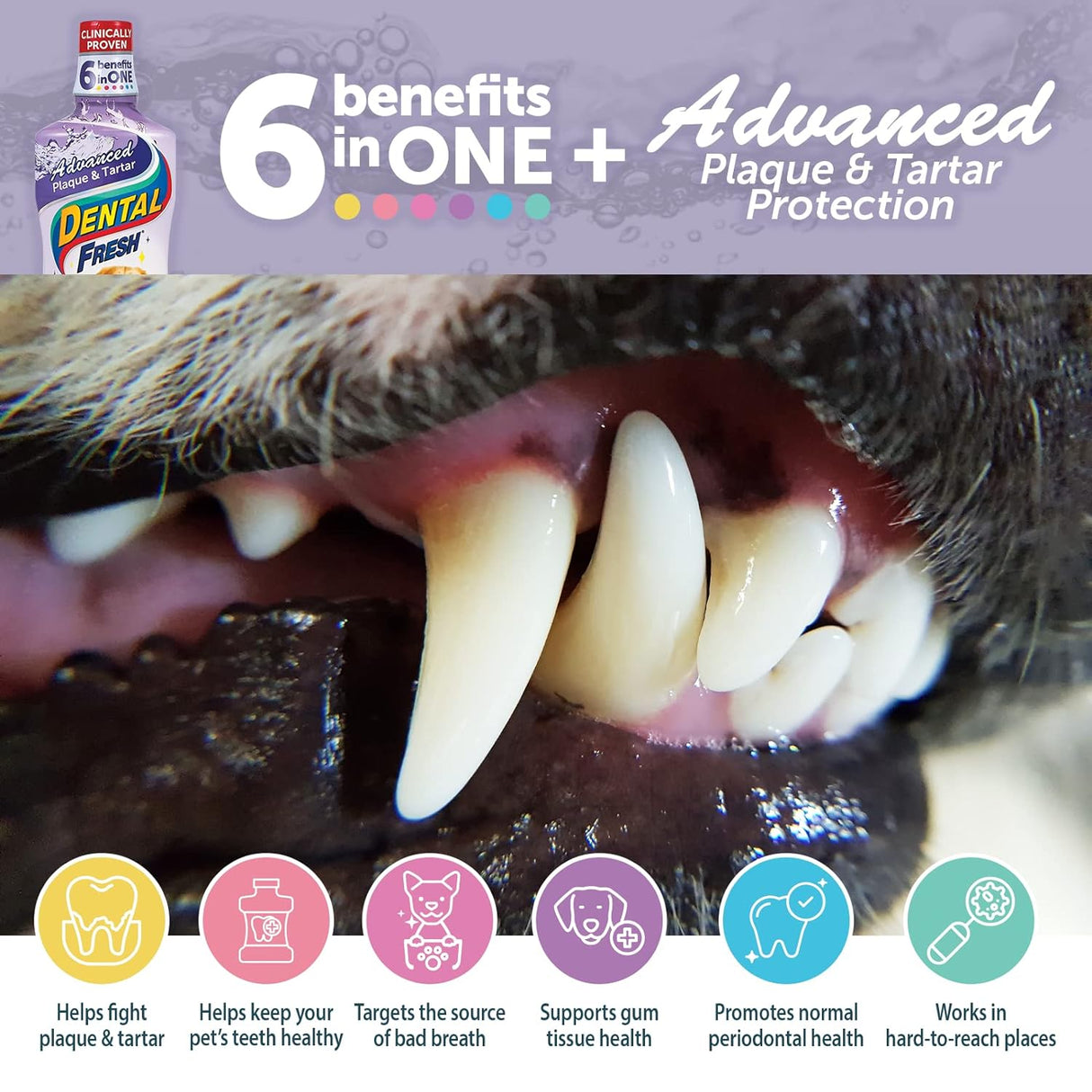 Aditivo de agua dulce dental para mascotas