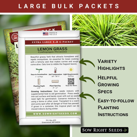 Semillas de Hierba Limón - Sow Right Seeds - 1600 Semillas