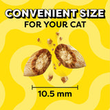 Bocadillos crujientes y suaves para gato, sabor camarón